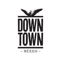 DOWNTOWN MEXICO HOTEL