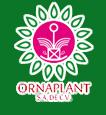 Ornaplant, S.a De C.v