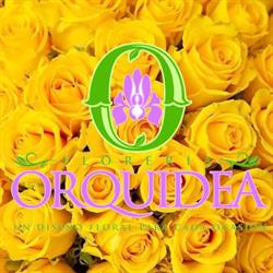 Florería Orquidea