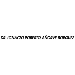 Dr Ignacio Roberto Añorve Borquez