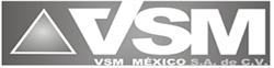 VSM México