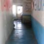 taller