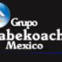 Logo Grupo Anabekoach Mexico SA de CV