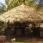 PALAPA JARDIN