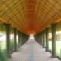 PALAPA PASILLO