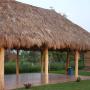 PALAPA