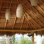 TEJIDO DE PALAPA