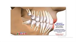 Dental Norteamericana