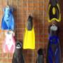 Subido por visitante en 12/05/2017 - Venta de aletas
