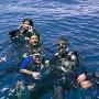 Subido por visitante en 12/05/2017 - Viajes de buceo