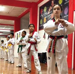 Escuela Profesional De Tae Kwondo