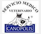 Estetica Canina Animal Club