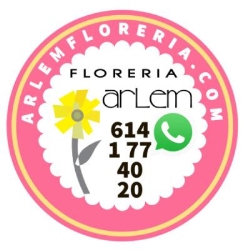 Floreria Arlem