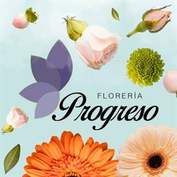 Florería Progreso