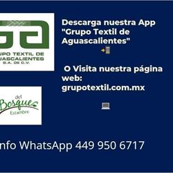 Grupo Textil De Aguascalientes S.A De C.V