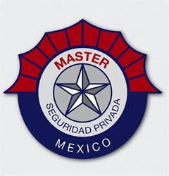 Master Servicios De Seguridad Privada