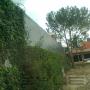 Subido por visitante en 05/09/2016