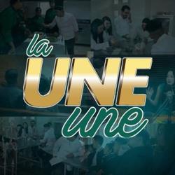 Universidad De Ecatepec