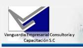 Vanguardia Empresarial Consultoría y Capacitación S.C