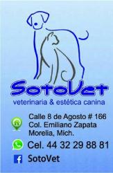 SotoVet