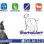 Subido por visitante en 17/08/2017 - imagen