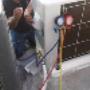 Subido por visitante en 10/08/2016