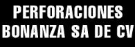 Perforaciones Bonanza SA de CV