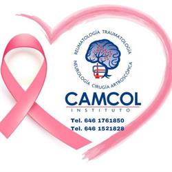 INSTITUTO CAMCOL