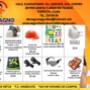 PROMO OCT