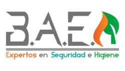B.A.E. CONSULTORIA Y SERVICIOS PARA EL SECTOR QUIMICO S.C.