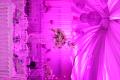 Wedding Planner