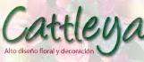 Florería Cattleya