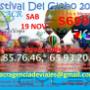 Subido por visitante en 18/08/2016