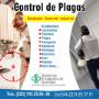 Subido por visitante en 01/03/2017 - Fumigaciones en Puebla