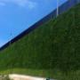 follaje en pared