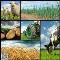 Asesoria-Agropecuaria