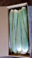 Pencas de Aloe Vera - caja 25 lb