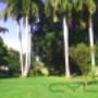 Subido por visitante en 22/09/2016 - JARDIN 2