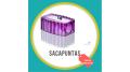Sacapuntas