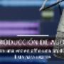Producción de audio
