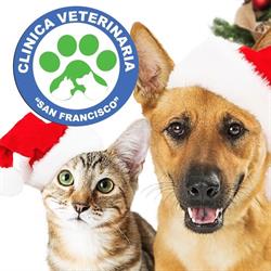 Clinica Veterinaria San Francisco