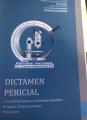 DICTAMEN PERICIAL