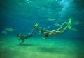 Beach Hopper Snorkeling Tour