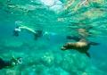 Espiritu Santo Island Expedition