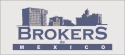 Brokers de Mexico