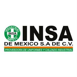 INSA de Mexico