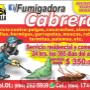 Subido por visitante en 28/10/2016
