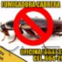 Subido por visitante en 28/10/2016