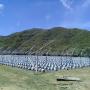 Ground Cover Sustrato Coco