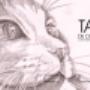 Subido por visitante en 17/11/2016 - nuestro logo